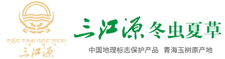 三江源冬蟲夏草